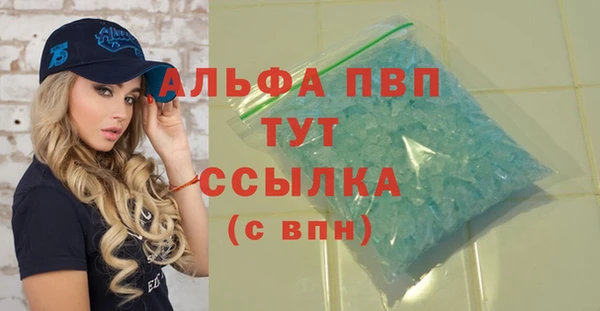 индика Переславль-Залесский