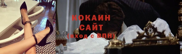 индика Переславль-Залесский