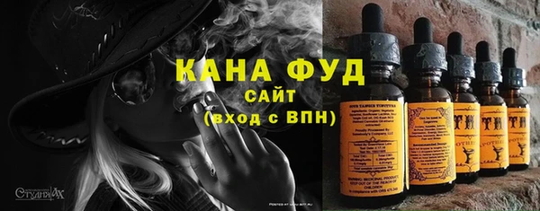 дживик Пестово