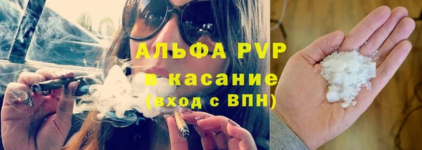 индика Переславль-Залесский