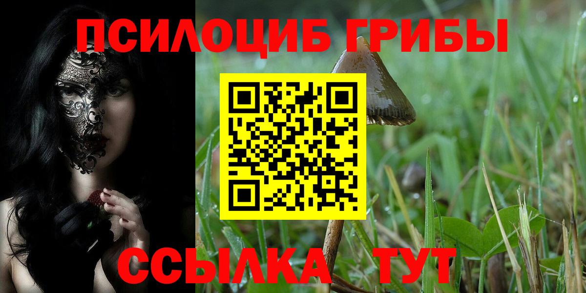 Галлюциногенные грибы мухоморы Рассказово