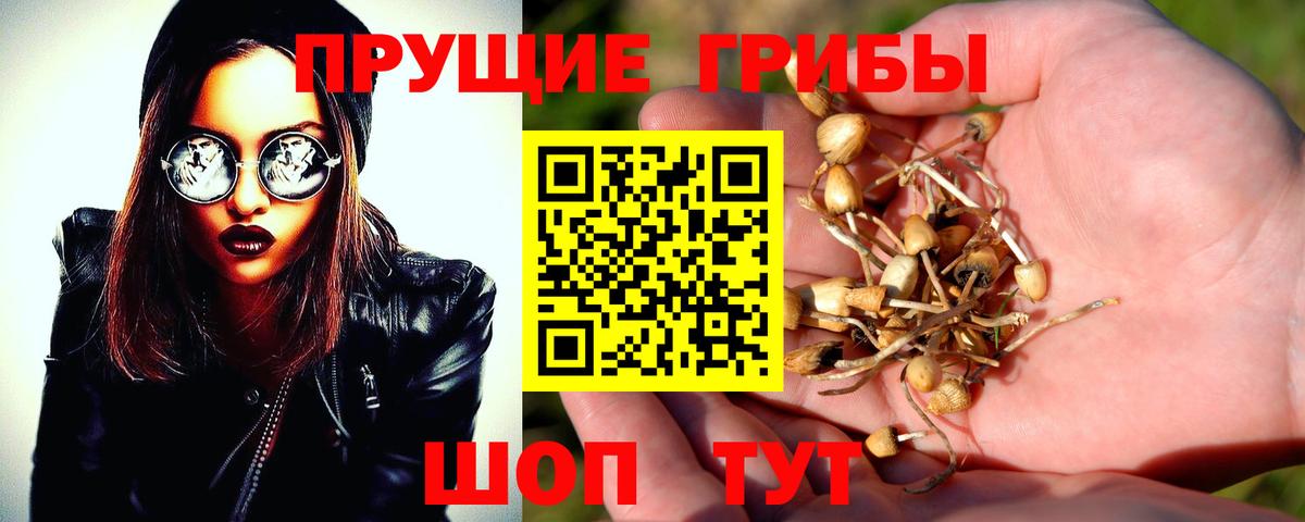 Рассказово  Галлюциногенные грибы мухоморы  Псилоцибиновые грибы Psilocybe  Вход с VPN 